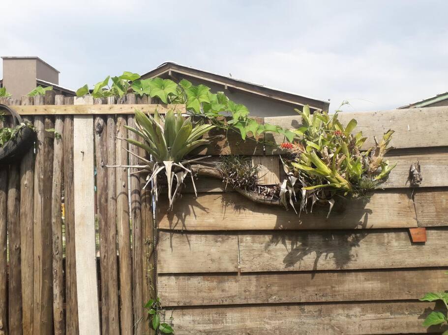 גרופאבה Casa Proximo A Praias, Trilhas E Cachoeiras. מראה חיצוני תמונה